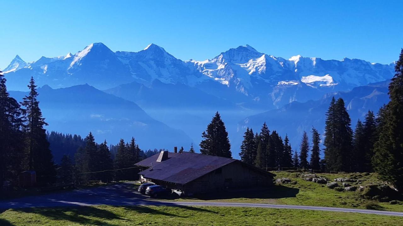 Chalet Lilo 2 Zimmer Top Mountain View Beatenberg Bagian luar foto